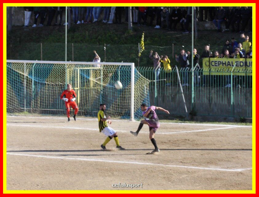 190310 Cephal_Torrenov 114_tn.jpg